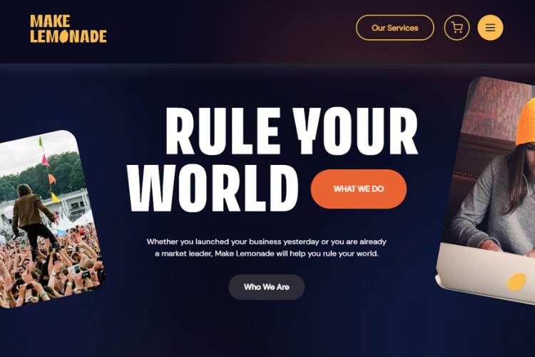 Niche Website Builders - website homepage
