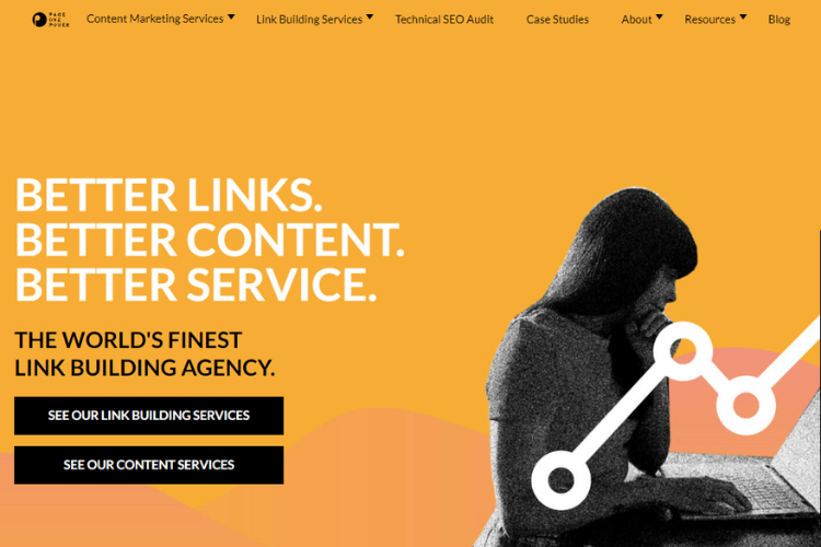 Page One Power - website homepage